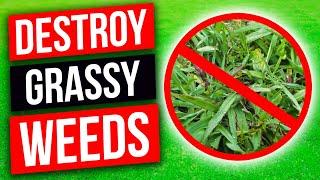 Crabgrass Dallisgrass Bahiagrass and Carpetgrass - Weed Control for Grassy Weeds in Your Lawn