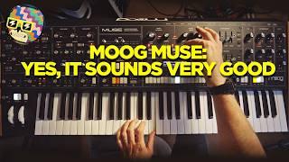 What you want to know about Moog Muse