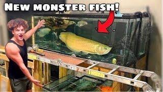 Buying NEW MONSTER FISH For My 300 GALLON AQUARIUM