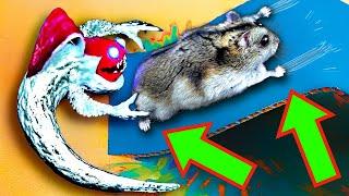  EVIL Hamster Maze with Traps OBSTACLE COURSE