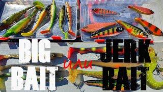 Щука на BIG BAIT или JERK BAIT что лучше