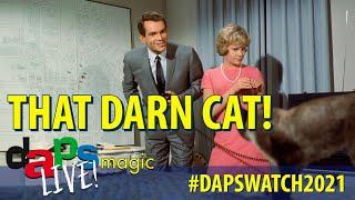 That Darn Cat - #dapswatch2021 - DAPS MAGIC Live