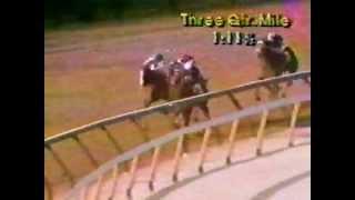 1980 Wood Memorial Stakes ABC Broadcast