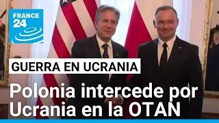 Polonia pide a la OTAN permitir a Ucrania usar misiles de largo alcance Putin lo condena