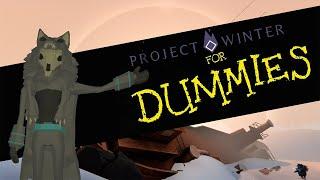 Project Winter for dummies Complete starter guide +1k hours