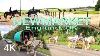 NEWMARKET England UK Road Drive Tour. Race Horses Racehorse Training Centre.