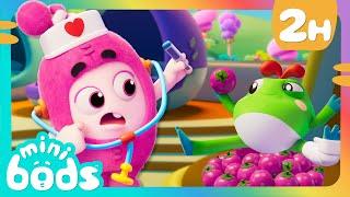 Newts Froggy Day Care    Minibods   Preschool Cartoons for Toddlers