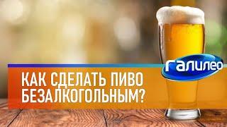 Галилео   Как сделать пиво безалкогольным? Nonalcoholic beer