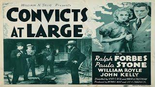Convicts at Large 1938 Crime Comedy Full Movie