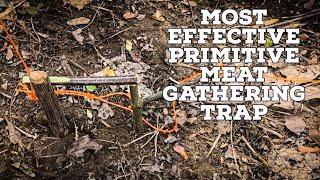 BEST Primitive Meat Gathering Trap