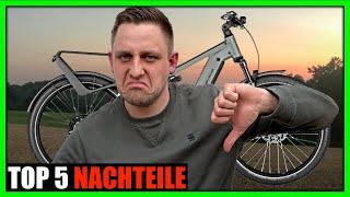 TOP 5 Nachteile Delite4 Riese und Müller