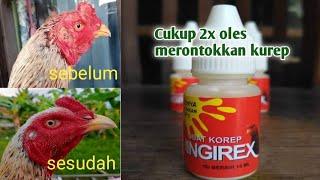 Cara mengobati ayam terkena kurap