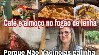 NÃO VACINAMOS AS ?COMEÇO MINHA ROTINA CUIDANDO DAS PLANTAS CAFÉ ALMOÇO NO FOGÃO DE LENHA 🪵