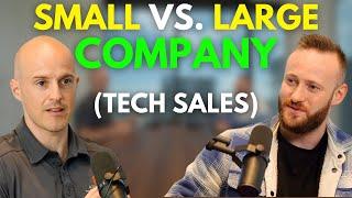 Should You Work at a Small Startup or Large Tech Sales Company?