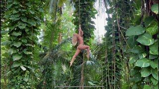 The worlds best pole dancer - Sokolova Anastasia - Jungle