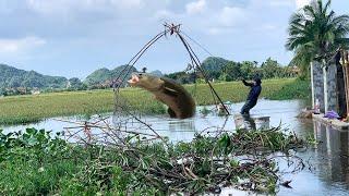 Kéo vó bắt cá mùa lũ  Thu hoạch khủng  Những hình ảnh cuối cùng.