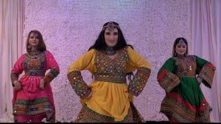 Bache Kabul  Aryana Sayeed New Pashto Song  Pashto Dance Video  Pashto Best Ghazal