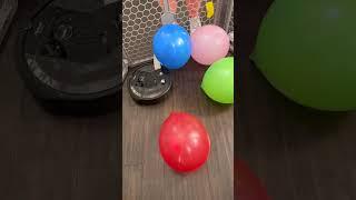 Roomba Balloon Roulette 