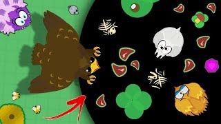 I GOT GOLDEN EAGLE AND WENT INTO BLACK HOLE OF MOPE.IO