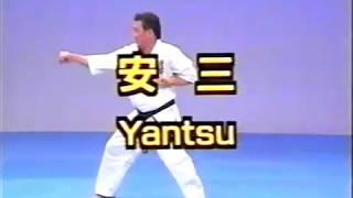 №3-2-6 #Kata #Yantsu #Kyokushin #Karate #Encycklopedia #Киокушин #каратэ