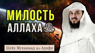 Как заслужить милость Аллахаﷻ?  Шейх Мухаммад аль-Арифи