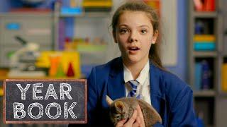 Schoolgirl Given a Chinchilla to Help with Her Anxiety  Educating  Our Stories