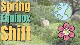 The Spring Equinox 2023 A New Beginning For Us All