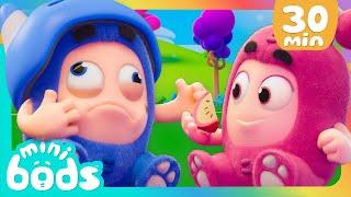  Wait until its ripe Healthy Fruits    @Minibods  Funny Comedy Cartoon Episodes for Kids