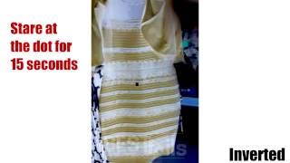 Warning Scary  The Black-BlueWhite-Yellow Dress Solution