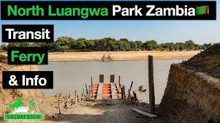 North Luangwa National Park Zambia  All the info