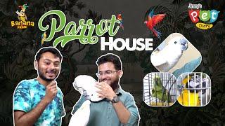 PARROT HOUSE  Episode #10  Jimmy’s Pet Diary  Banana Prime