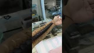 Giant centipede crawls along mans arm