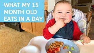WHAT MY ONE-YEAR-OLD TODDLER EATS IN A DAY  15 MONTHS OLD  MEAL IDEAS  FOOD DIARY