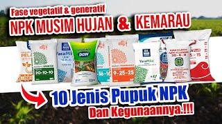 10 JENIS PUPUK NPK DAN KEGUNAANNYA  NPK Musim Hujan & Kemarau