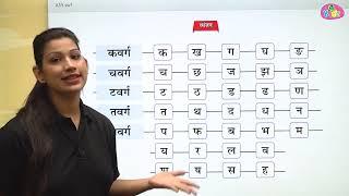 हिन्दी वर्णमाला - Swar aur Vyanjan  Hindi Varnamala  Learn Hindi Alphabet  UKG Level  Anikidz