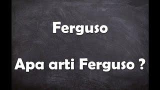 Apa arti kata Ferguso ?
