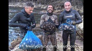 Catching limpets and Azorean barnacles   Apanha de lapas e cracas nos Açores  قبض على ليمبيت