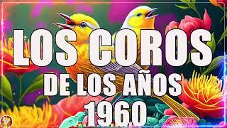 Los Coros De Los Años 1960  Coritos Antiguos Bonitos Para Gozarse En La Presencia De Dios