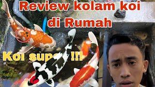 REVIEW KOLAM KOI NATURAL ALA RUMAHAN