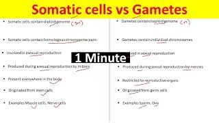 Difference Between Gametes and Somatic cells  Somatic Cells vs Gametes 