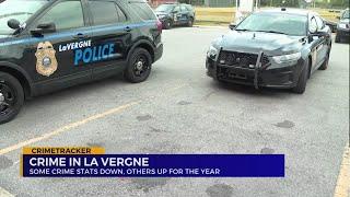 Some crime stats down others up for the year in La Vergne