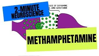 2-Minute Neuroscience Methamphetamine