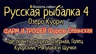 РР4. Озеро Куори. Фарм и Трофей Форель Севанская. Где ловить Форель Озерная Голец Куорский Щука.