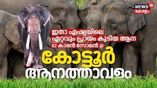 Guinness Record  ഇതാ Asiaയിലെ ഏറ്റവും പ്രായം കൂടിയ ആന 82 കാരൻ Kottur Soman @ Kottur Elephant Camp