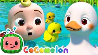 Five Little Ducks - Option 2  CoComelon Furry Friends  Animals for Kids