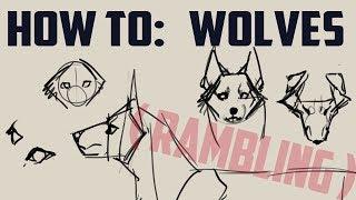 How to draw wolves -basics- me rambling