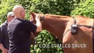 FIND YOUR HORSES LAMENESS IT IS SIMPLE  www.equi-stimlegsaver.com