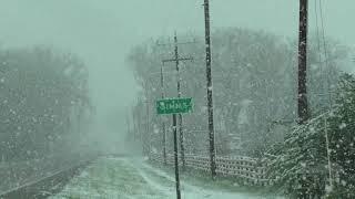 05-20-2021 Augusta MT - Major Spring Snowstorm - Downed Tree Limbs - Big Flakes