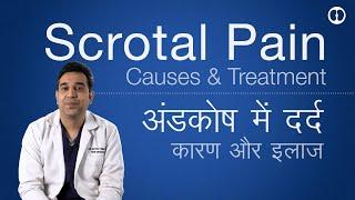 Scrotal or Testis Pain causes and Treatment Andkosh ya Goli me dard ke karan aur samadhaan