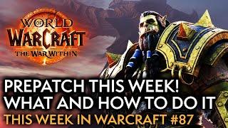What To Expect Day One Of The War Within Prepatch - This Week In Warcraft #87